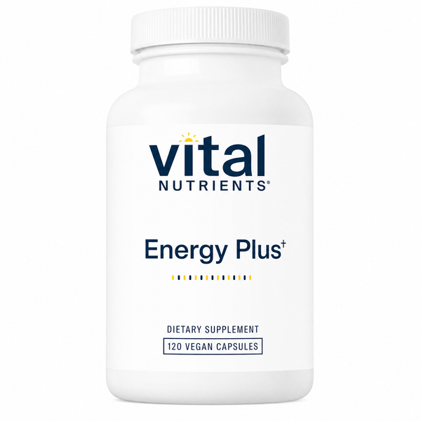 Energy Plus # 120 st